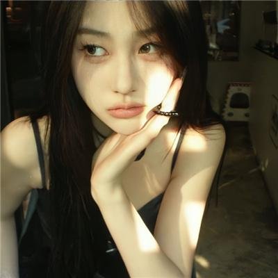 燕子盗